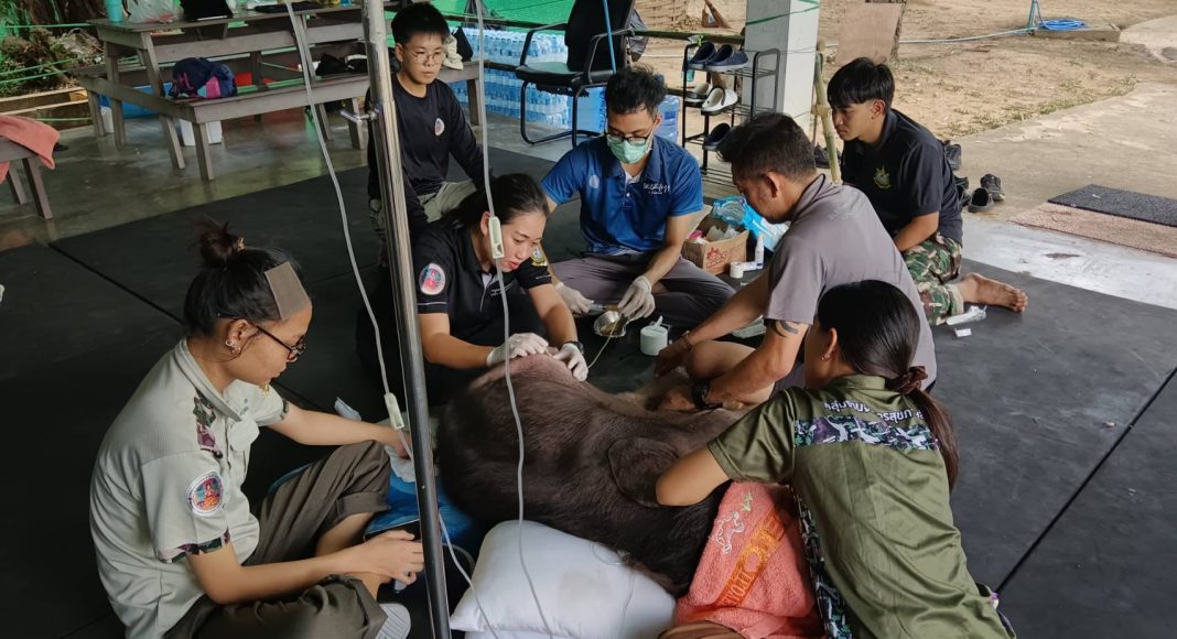 571580623_1209909724655392_4328085421685047527_n