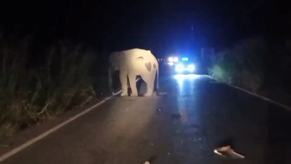 572439300_1208398921473139_6220189468611733509_n