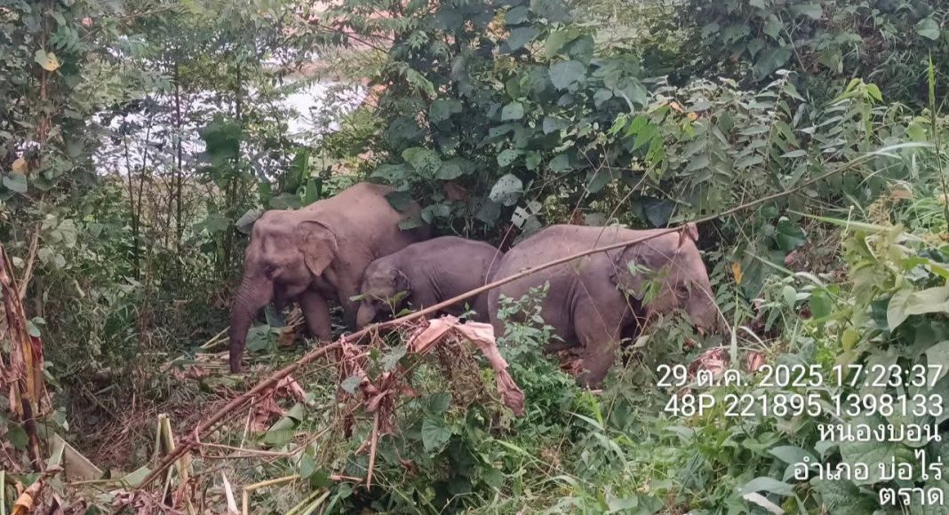 FB_IMG_1761829956225