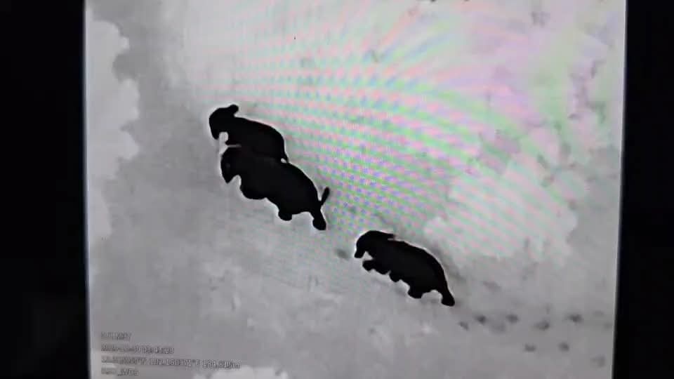 FB_IMG_1761911002951